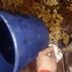 Image for article titled Dyeing Clothes With Used Motor Oil Is The Best And Worst Solution To Your Stain Problem